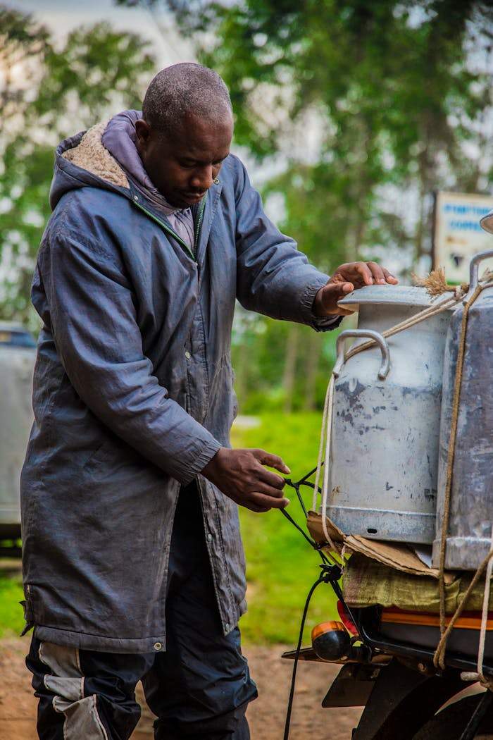 African man on a Ugandan farm securing milk containers for transport.